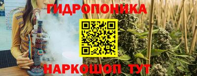 шишки Среднеуральск