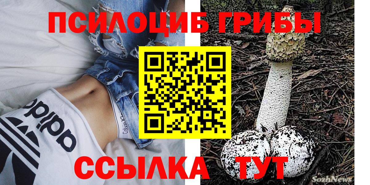 Новороссийск  Псилоцибиновые грибы GOLDEN TEACHER  Вход с VPN 