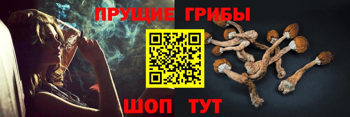 Галлюциногенные грибы Cubensis Новороссийск